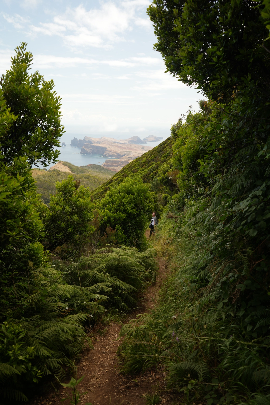 The guided hike through the laurel forest